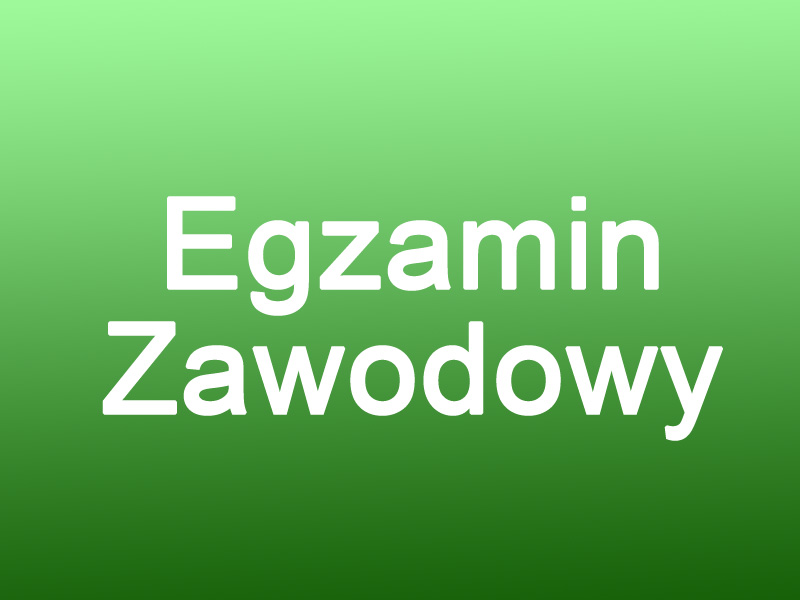 Egzamin zawodowy
